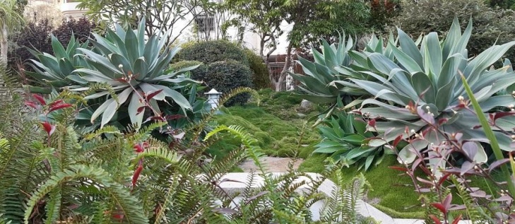 Хамей Гаш - SPA отдых - термальные ванны 