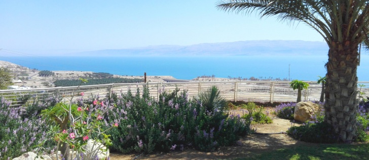 Заповедник Эйн Геди и Мертвое море